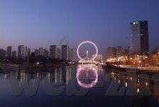 森林的舞会作文300字-森林的舞会